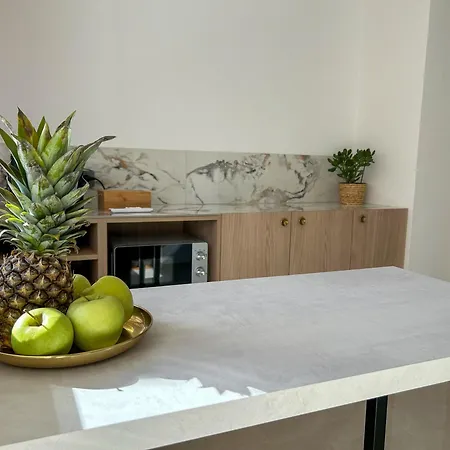 Modern Loft 公寓 扎达尔